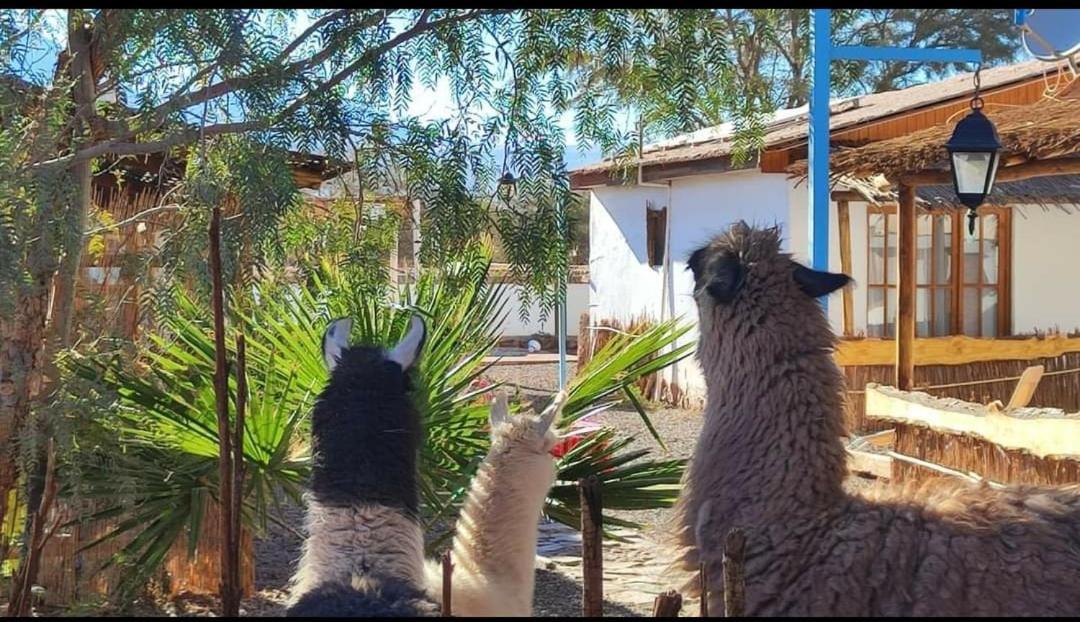 Cabanas Voyage Atacama San Pedro de Atacama Buitenkant foto