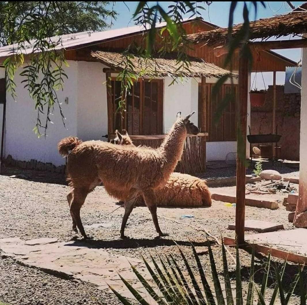 Cabanas Voyage Atacama San Pedro de Atacama Buitenkant foto