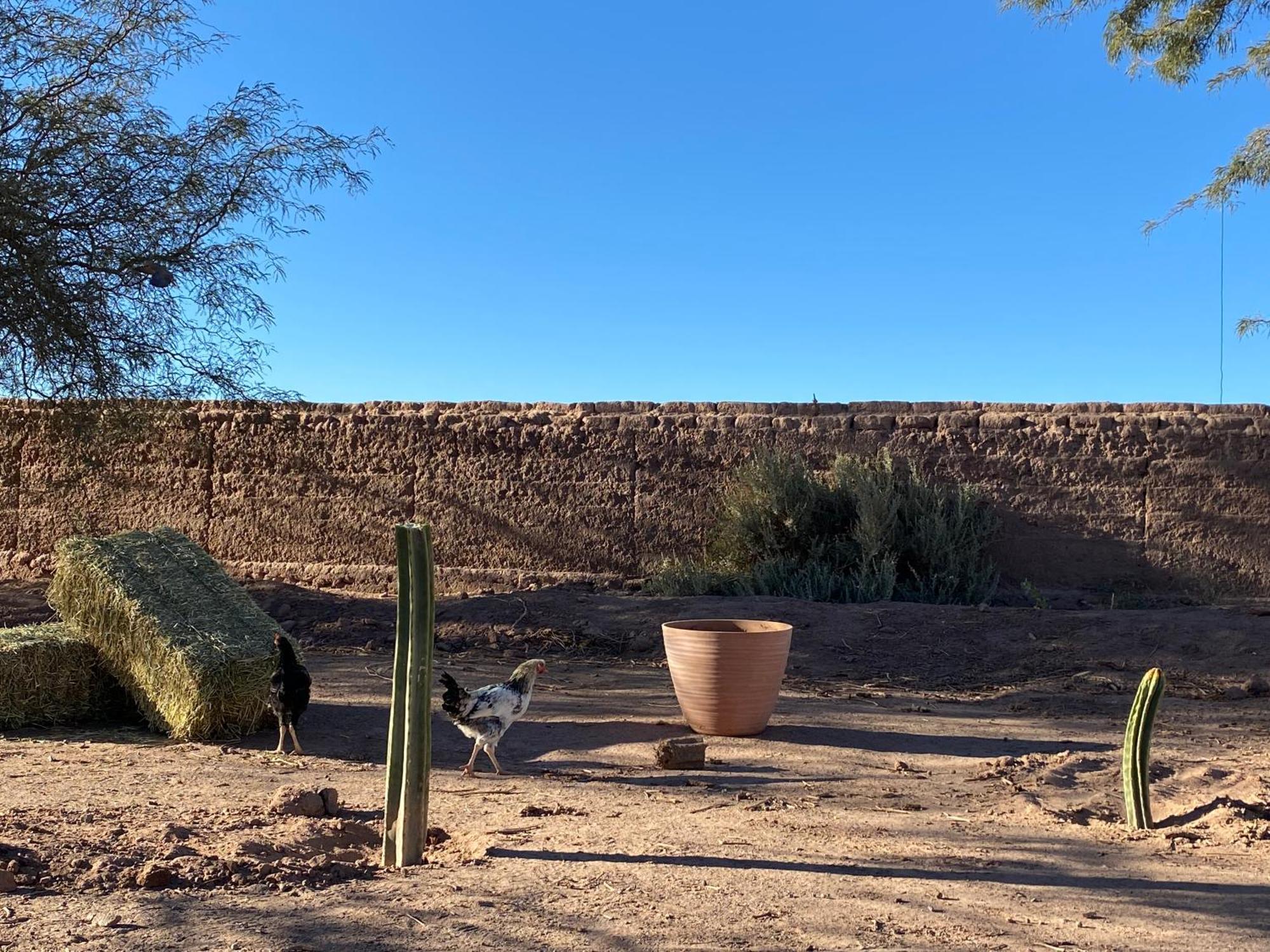 Cabanas Voyage Atacama San Pedro de Atacama Buitenkant foto